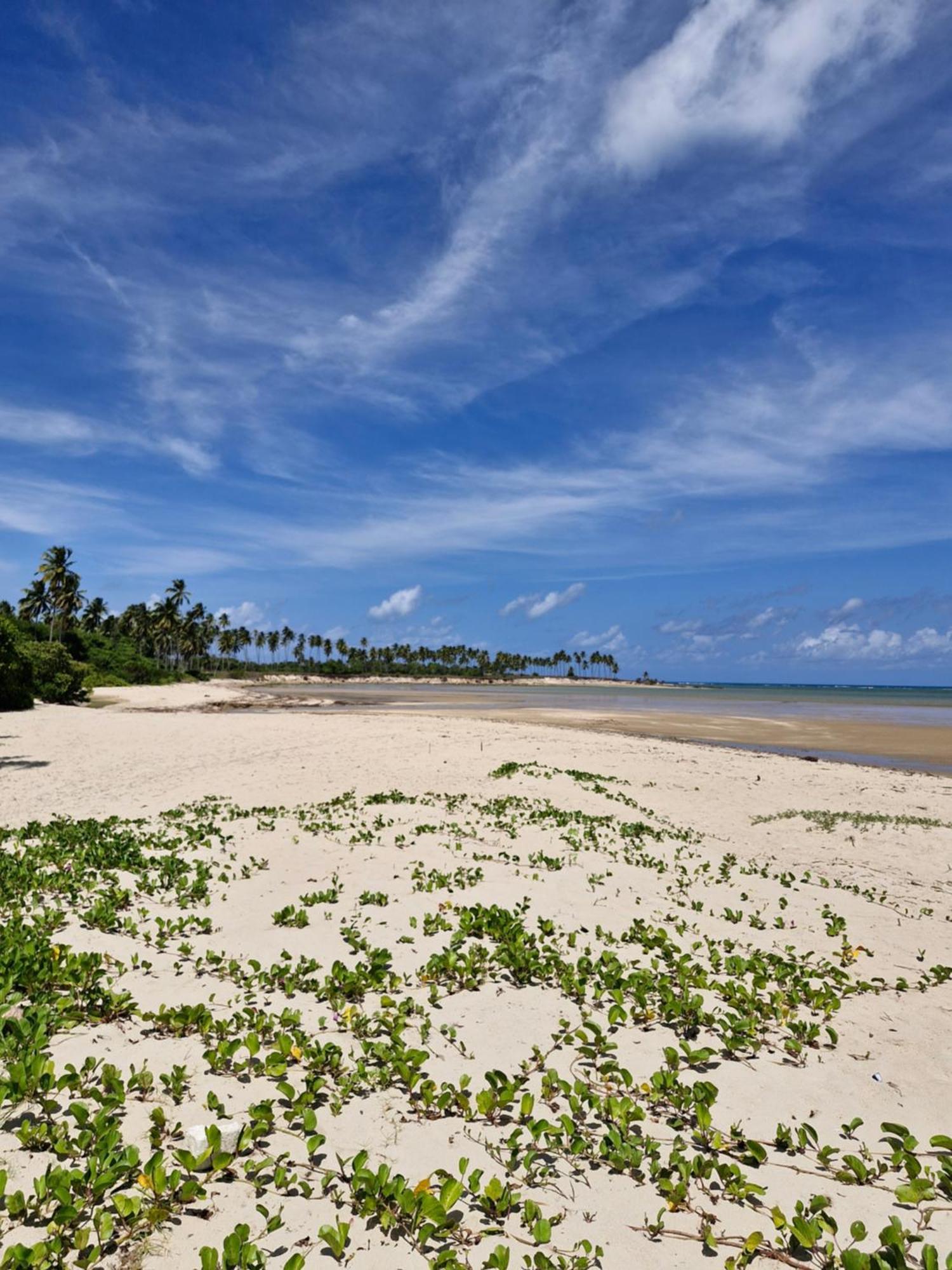 Msflats Paripueira Praia Wifi Ar Cozinha E Varanda Nascente C Rede Zewnętrze zdjęcie